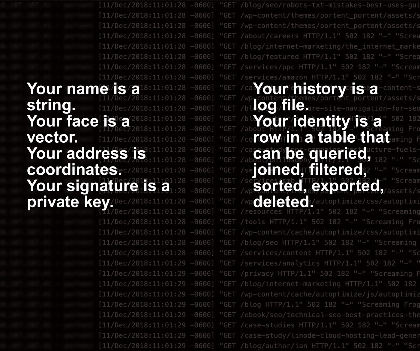 White statements including ‘Your name is a string’ and ‘Your face is a vector’ set over a dark log-file image.