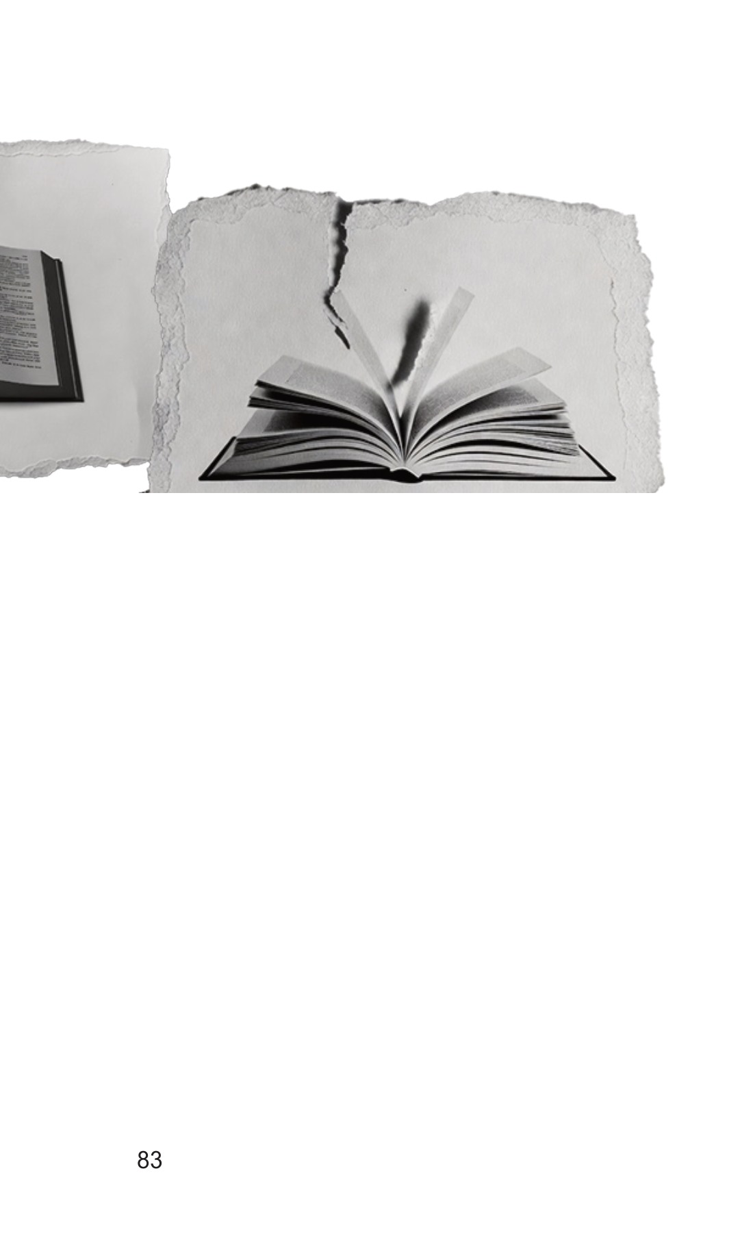 Book PDF page 85 of 169. Open the full-size page to zoom; extracted text follows where available.